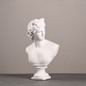 Ancient Greece European Resin David Venus Head Statuees Decoration Home Livingroom Goddess Sculpture Figurin Office Desktop Furnishing Crafts — image 12 of 13