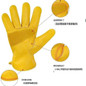 Premium Leather Work Gloves - Soft, Anti-Slip & Durable for Automotive Repair, Moving, and Gardening — image 4 of 6