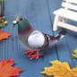 1/5/8pcs Simulation Foam Pigeon Model Fake Artificial Imitation Bird Animal Home Garden Ornament Miniature Decoration — image 9 of 13