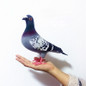Big Size Simulation Foam Pigeon Model Fake Artificial Imitation Bird Animal Home Garden Ornament Miniature Decoration Home Decoration — image 9 of 9
