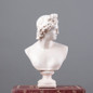 Ancient Greece European Resin David Venus Head Statuees Decoration Home Livingroom Goddess Sculpture Figurin Office Desktop Furnishing Crafts — image 6 of 13