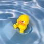 Angry Duck Ornament For Desktop Office Home Decoration Ornament — image 11 of 12