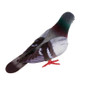 1/5/8pcs Simulation Foam Pigeon Model Fake Artificial Imitation Bird Animal Home Garden Ornament Miniature Decoration — image 7 of 13