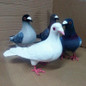 Big Size Simulation Foam Pigeon Model Fake Artificial Imitation Bird Animal Home Garden Ornament Miniature Decoration Home Decoration — image 8 of 9