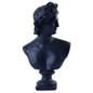 Ancient Greece European Resin David Venus Head Statuees Decoration Home Livingroom Goddess Sculpture Figurin Office Desktop Furnishing Crafts — image 15 of 15