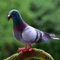 1/5/8pcs Simulation Foam Pigeon Model Fake Artificial Imitation Bird Animal Home Garden Ornament Miniature Decoration — image 3 of 13