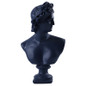 Ancient Greece European Resin David Venus Head Statuees Decoration Home Livingroom Goddess Sculpture Figurin Office Desktop Furnishing Crafts — image 8 of 15