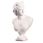 Ancient Greece European Resin David Venus Head Statuees Decoration Home Livingroom Goddess Sculpture Figurin Office Desktop Furnishing Crafts — image 11 of 13