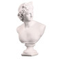 Ancient Greek Mythology Apollo David Venus Figurine Artemis Statue Sculpture Decoration Creative Home Decoration Nordic Living Room Artwork — image 8 of 16