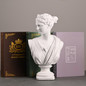 Ancient Greece European Resin David Venus Head Statuees Decoration Home Livingroom Goddess Sculpture Figurin Office Desktop Furnishing Crafts — image 8 of 13