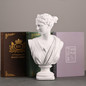 Ancient Greece European Resin David Venus Head Statuees Decoration Home Livingroom Goddess Sculpture Figurin Office Desktop Furnishing Crafts — image 8 of 13
