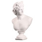 Ancient Greece European Resin David Venus Head Statuees Decoration Home Livingroom Goddess Sculpture Figurin Office Desktop Furnishing Crafts — image 11 of 13