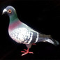 Big Size Simulation Foam Pigeon Model Fake Artificial Imitation Bird Animal Home Garden Ornament Miniature Decoration Home Decoration — image 5 of 9