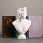 Ancient Greece European Resin David Venus Head Statuees Decoration Home Livingroom Goddess Sculpture Figurin Office Desktop Furnishing Crafts — image 7 of 13