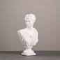 Ancient Greece European Resin David Venus Head Statuees Decoration Home Livingroom Goddess Sculpture Figurin Office Desktop Furnishing Crafts — image 9 of 13