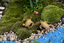 1pc Sea Turtles Miniature Fairy Garden Home Houses Decoration Mini Craft Micro Landscaping Decor DIY Accessories — image 11 of 16