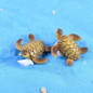 1pc Sea Turtles Miniature Fairy Garden Home Houses Decoration Mini Craft Micro Landscaping Decor DIY Accessories — image 4 of 16