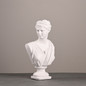 Ancient Greece European Resin David Venus Head Statuees Decoration Home Livingroom Goddess Sculpture Figurin Office Desktop Furnishing Crafts — image 9 of 13