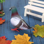 1/5/8pcs Simulation Foam Pigeon Model Fake Artificial Imitation Bird Animal Home Garden Ornament Miniature Decoration — image 8 of 13