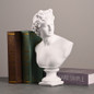Ancient Greece European Resin David Venus Head Statuees Decoration Home Livingroom Goddess Sculpture Figurin Office Desktop Furnishing Crafts — image 10 of 13