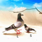 Big Size Simulation Foam Pigeon Model Fake Artificial Imitation Bird Animal Home Garden Ornament Miniature Decoration Home Decoration — image 7 of 9