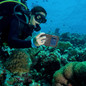 Professional Diving Underwater Phone Case 50ft Waterproof Protective Case Fit for  from 4.7 to 6.8 inch for iPhone, Samsung Universal Waterproof Cell Phone Case for Underwater Diving and Snorkeling — image 12 of 15