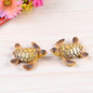 1pc Sea Turtles Miniature Fairy Garden Home Houses Decoration Mini Craft Micro Landscaping Decor DIY Accessories — image 5 of 16