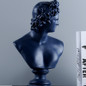 Ancient Greece European Resin David Venus Head Statuees Decoration Home Livingroom Goddess Sculpture Figurin Office Desktop Furnishing Crafts — image 12 of 15