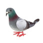 1/5/8pcs Simulation Foam Pigeon Model Fake Artificial Imitation Bird Animal Home Garden Ornament Miniature Decoration — image 6 of 13