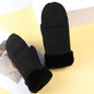 1 Pair of Outdoor Snowboarding Riding Gloves, Winter Warm Touchscreen Gloves, Windproof Fingerless Ski Gloves — image 10 of 19