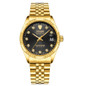 TEVISE Swiss Automatic Watch for Men | Waterproof & Luminous | Classic Mechanical Timepiece — image 12 of 18